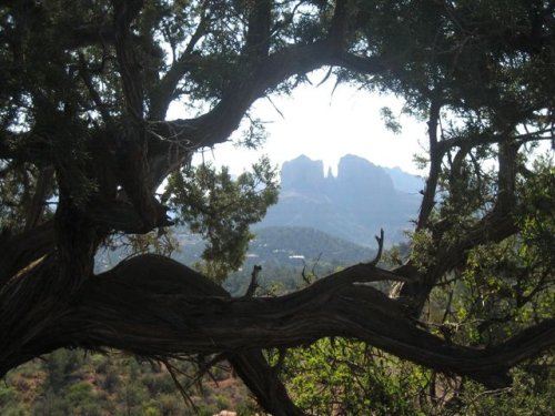 Sedona-fd0015